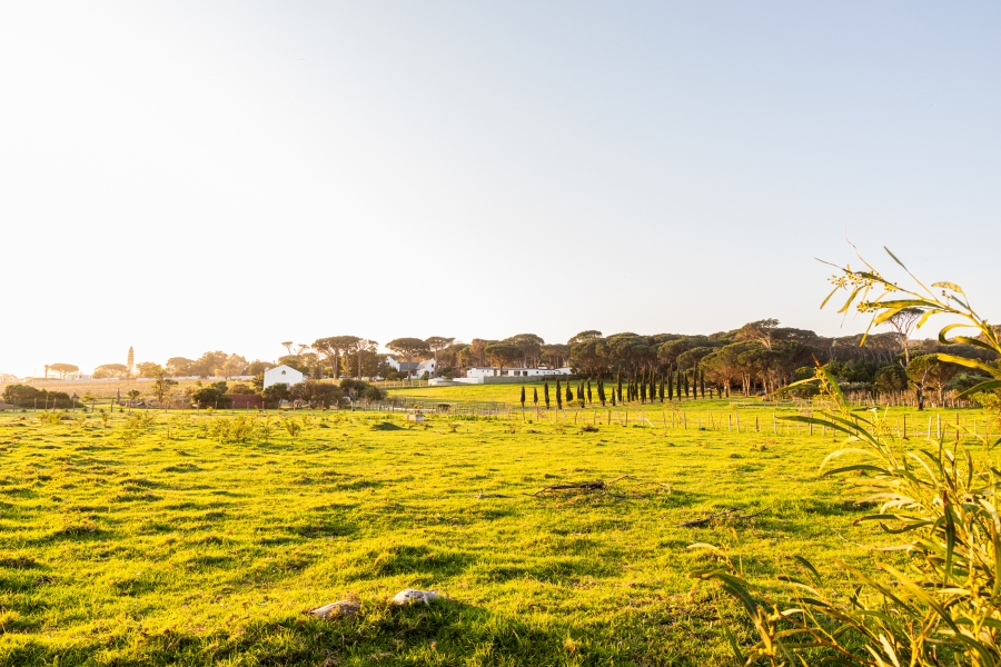 0 Bedroom Property for Sale in Somerset West Rural Western Cape